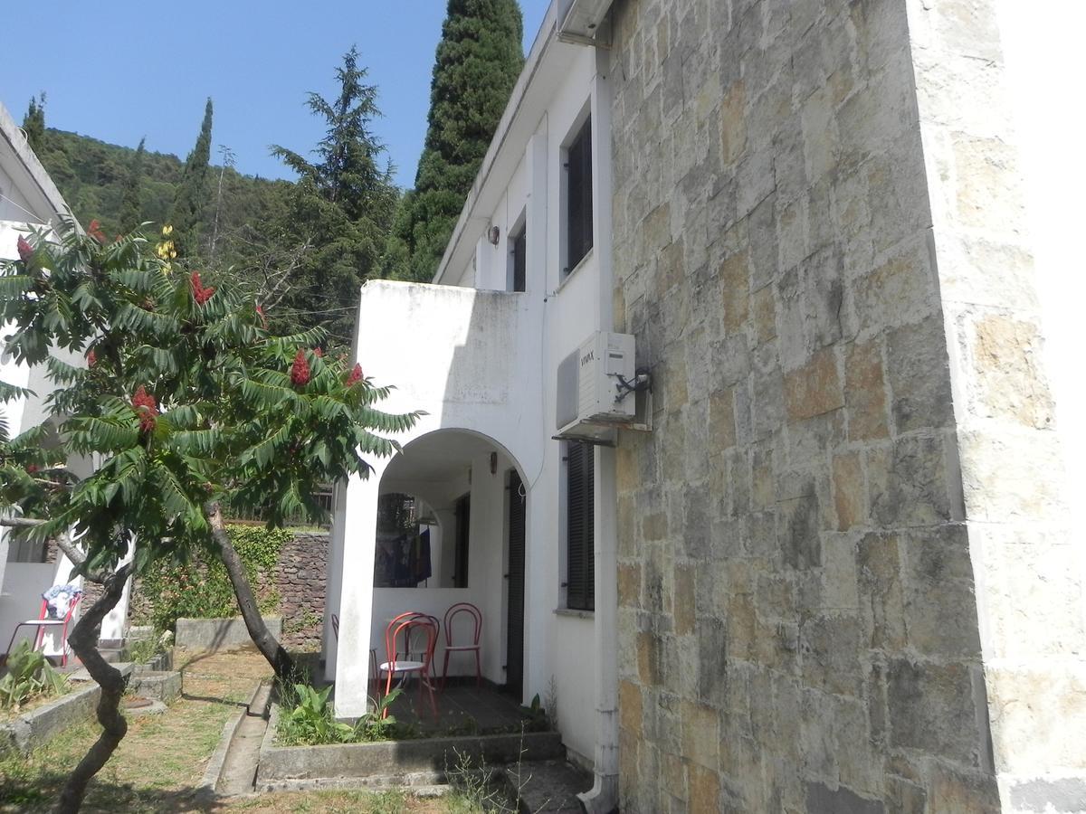 Holiday Park Vile Park Budva Exteriér fotografie